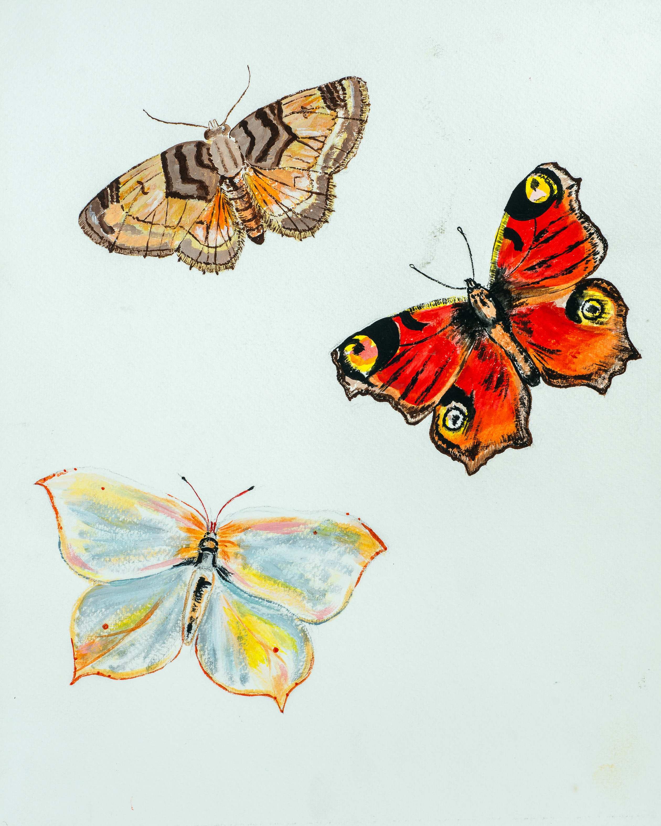 'And pluck the wings from painted butterflies' — painting by Chris Brock